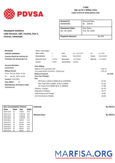 Realistic Venezuela PDVSA Gas business utility bill template in Word and PDF formats